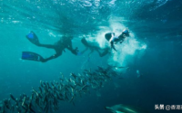香港游客南非潜水惨遭不测，抢救无效身亡身份确认