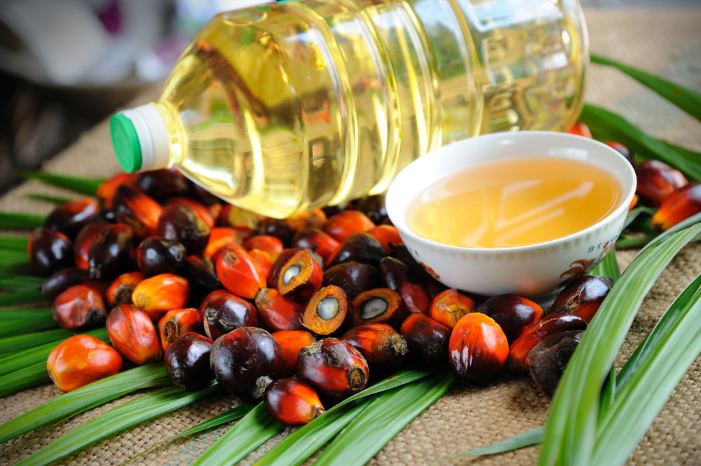 马来西亚6月份粗棕榈油出口税率保持8% 近期棕榈油商场受此影响动摇较大