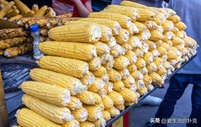 玉米市场一夜大变！30水玉米突然“涨价”！