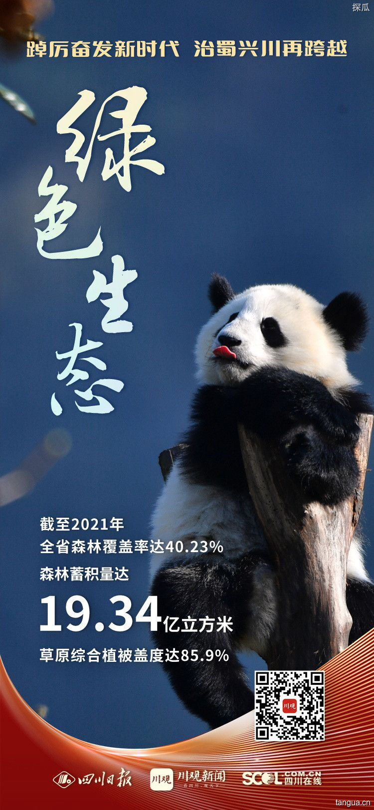 四川野生大熊猫因病死亡，引人深思
