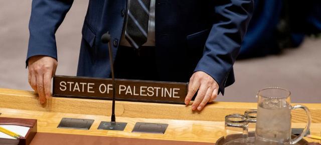 美国孤立行动，否决巴勒斯坦入联引发全球愤怒