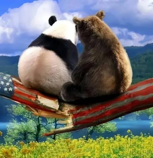 这幅漫画火了！大熊猫和俄罗斯棕熊并排坐着看风景，引发深思