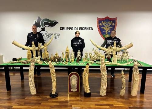 意大利警方查获大量象牙制品，涉案金额达20亿欧元