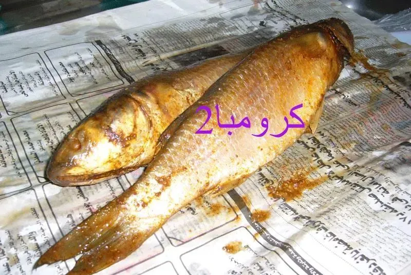 埃及人的国菜，每一口都是通向冥府的舌吻 第9张