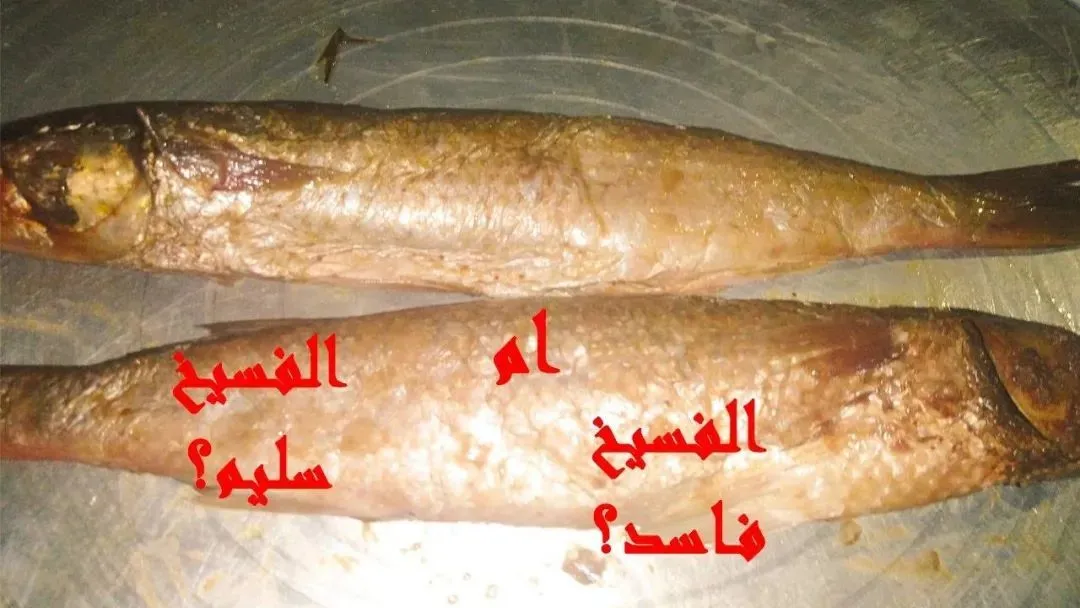 埃及人的国菜，每一口都是通向冥府的舌吻 第16张