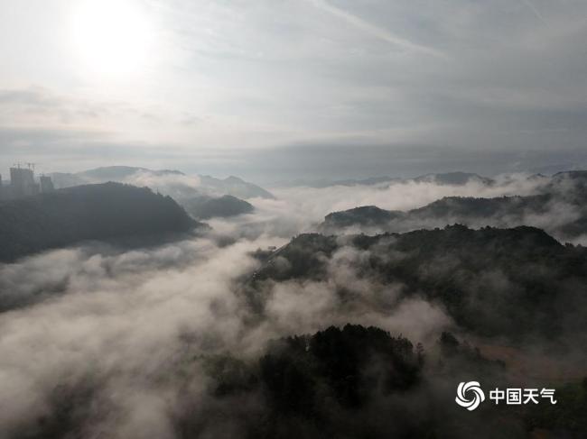 贵州出现大雾 开车如在云端 第1张