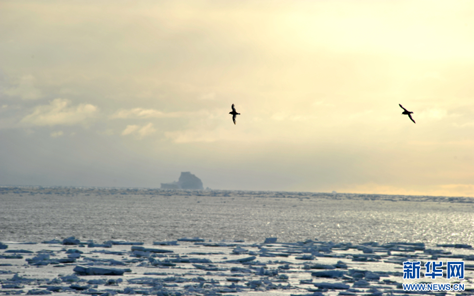 《探南极》系列访谈第三期丨全球变暖，南极海冰融化有多严重？ 冰盖 探南极 冰融化 南极大陆 第3张