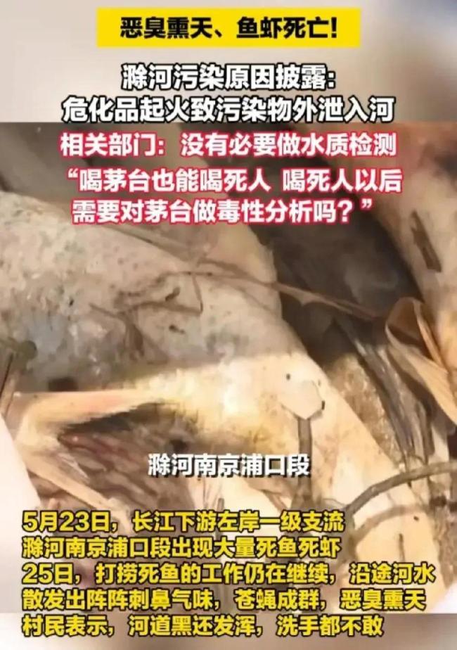安徽：彻查滁河水体污染问题，严格追责并治理水体 第3张