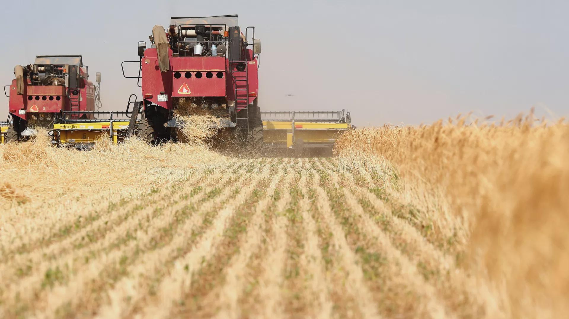 欧盟宣布提高对俄罗斯谷物关税 俄罗斯农产品或将面临停止进口 关税 乌克兰 农产品 欧盟委员会 俄罗斯谷物 第1张