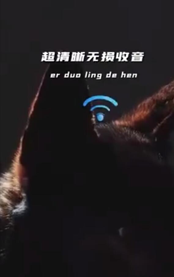 只有中国人才能看懂的散装英文 警方发布高奢警犬宣传片 第2张