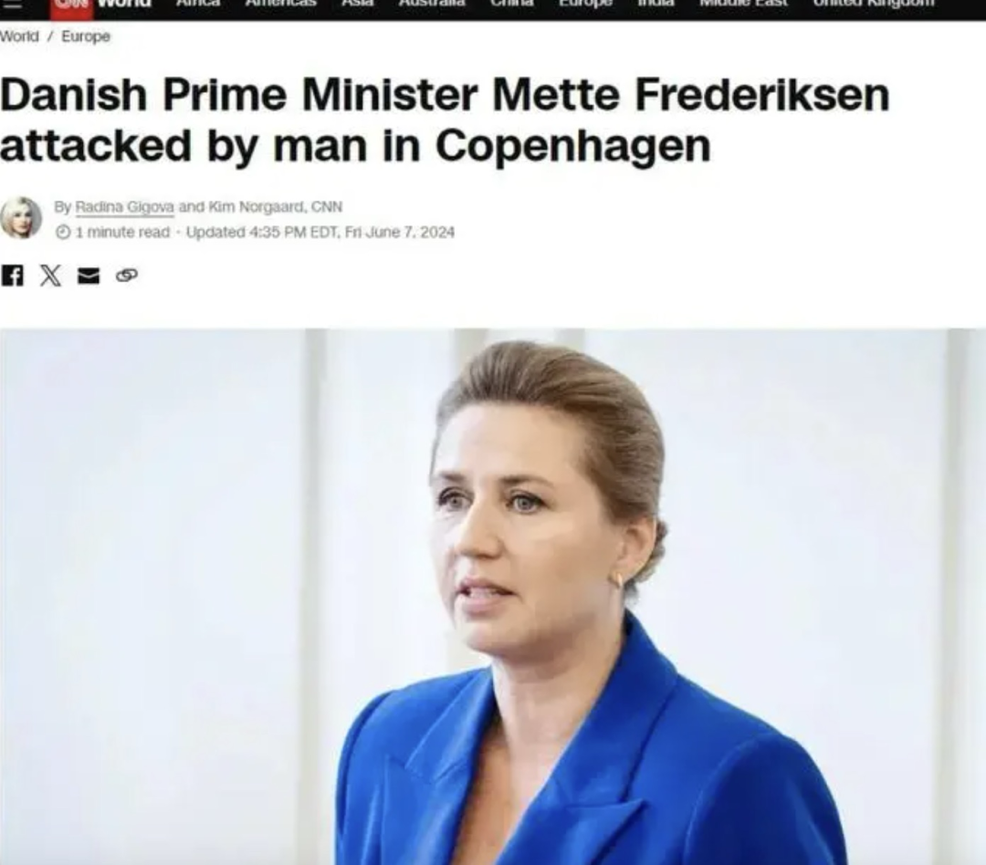丹麦首相竟当街被“殴打”？！男子被判处12天监禁，欧洲震怒的背后…… 第2张