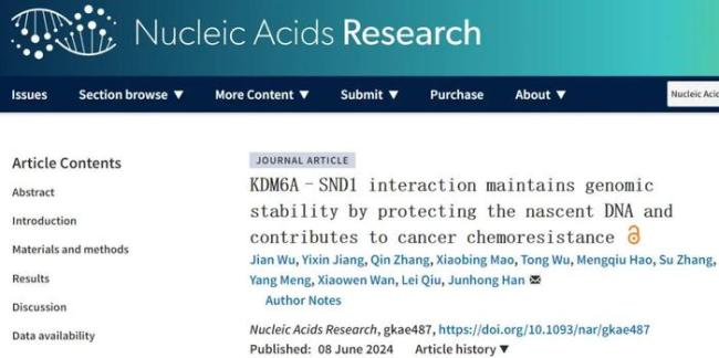 科学家揭示KDM6A-SND1互动如何守护基因组稳定