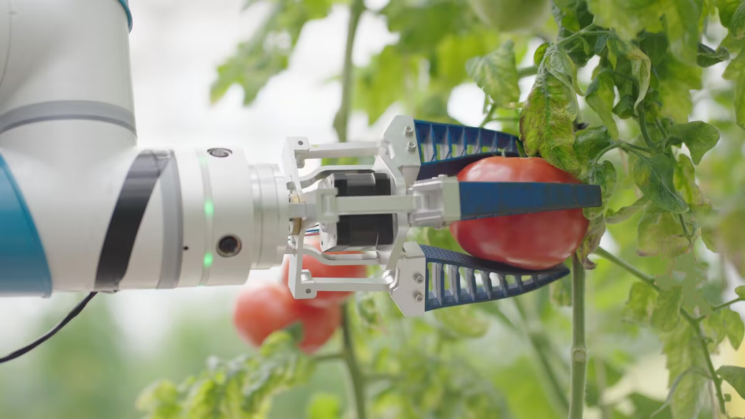 AI能让农作物重回“儿时的味道”吗？ 第1张
