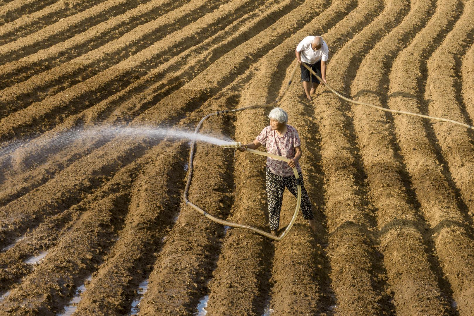 “南涝北旱”之下：有河南农户一个人浇地60亩，有广东居民一周没见到太阳 第1张