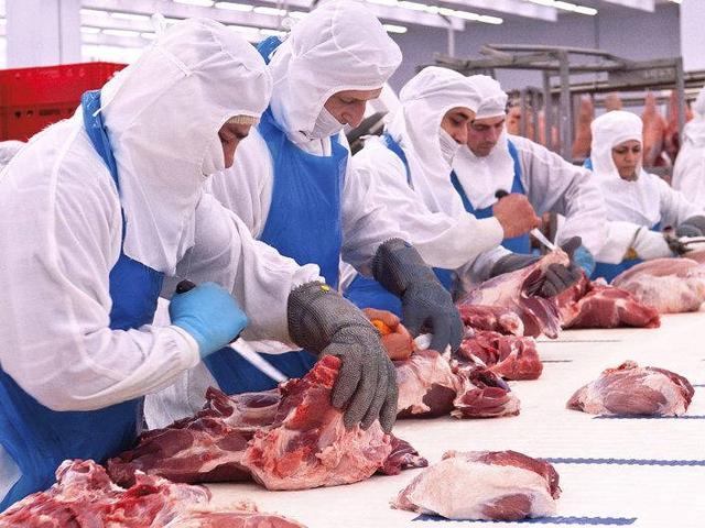 中国反倾销调查引发丹麦猪肉产业担忧